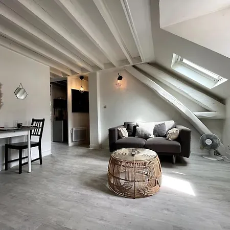 Appartamento Le Cocon Familial - Hypercentre *